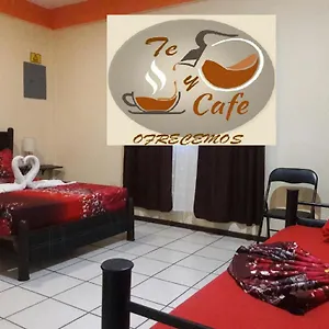 https://hostel-alme.quintano-roohotels.com